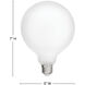 LumiGlo Med. 2.00 watt 120v 2700 LED Bulb in Matte White