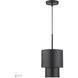 Zolana 1 Light 8.5 inch Black Mini Pendant Ceiling Light