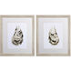 Neutral Oyster Neutral and Gray and Brown Framed Art, Propac