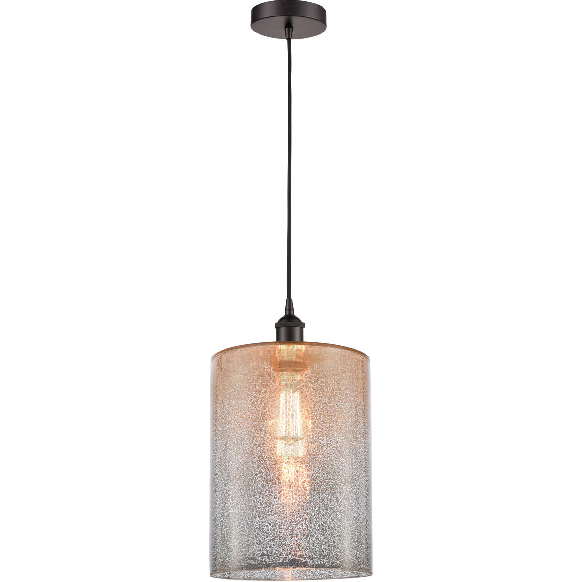 Edison Cobbleskill 1 Light 9 inch Oil Rubbed Bronze Mini Pendant Ceiling Light