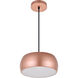 Flynn 2 Light 10 inch Honey Gold Pendant Ceiling Light