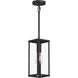 Ryle 1 Light 5.5 inch Matte Black Outdoor Pendant Light