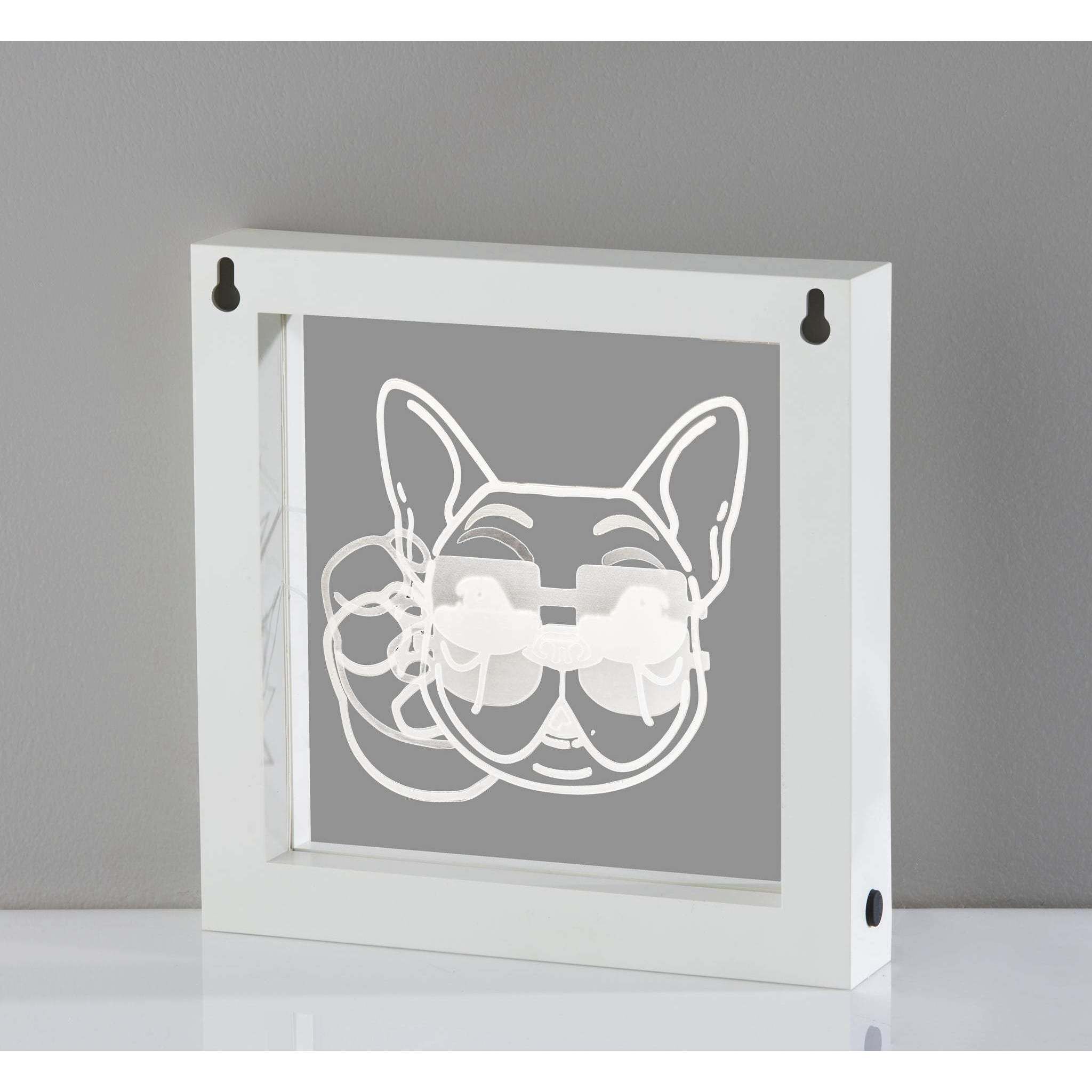 Cool Dog Video 9 inch 0.3 watt White Light Box Portable Light, Simplee Adesso