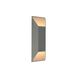 Avenue Outdoor LED 20 inch Silver Outdoor Wall Mount