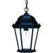 Richmond 1 Light 10 inch Matte Black Exterior Hanging Lantern