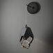 Chrysalis 1 Light 6.1 inch Ink Sconce Wall Light in Black Crystal, Large