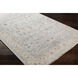 Sabine 36 X 24 inch Ice Blue Rug in 2 x 3, Rectangle