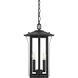 Thayer 2 Light 9 inch Black Outdoor Pendant