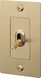 1G Toggle 120-277 Brass Light Switch
