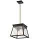 Lucian LED 12 inch Black and Brushed Brass Chandelier Ceiling Light
