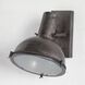 Taza 12 inch Gray Wall Sconce Wall Light