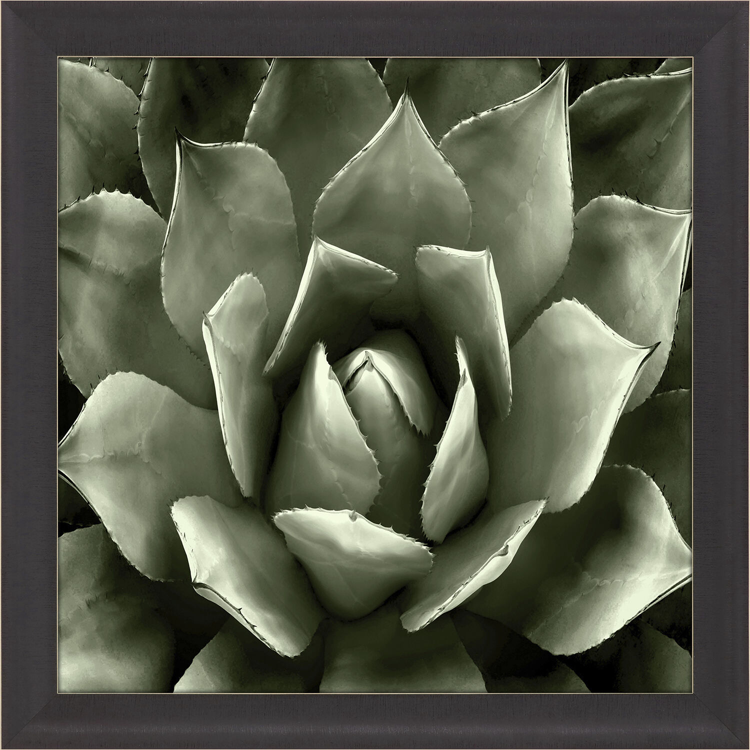 Green Succulent Green and Black and Neutral Framed Art