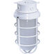 Brentwood 1 Light 6 inch White Outdoor Ceiling Mount