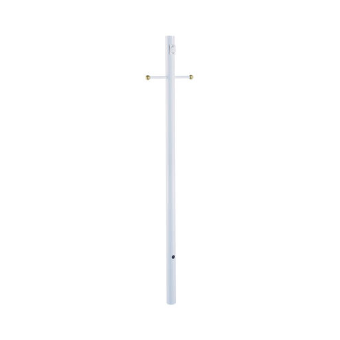Direct Burial 2.95 inch Post Light & Accessory