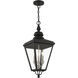 Adams 3 Light 10.63 inch Black with Brushed Nickel Finish Cluster Outdoor Large Pendant Lantern Ceiling Light in Black with Brushed Nickel Accent