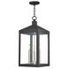 Nyack 3 Light 10.5 inch Black Outdoor Pendant Lantern