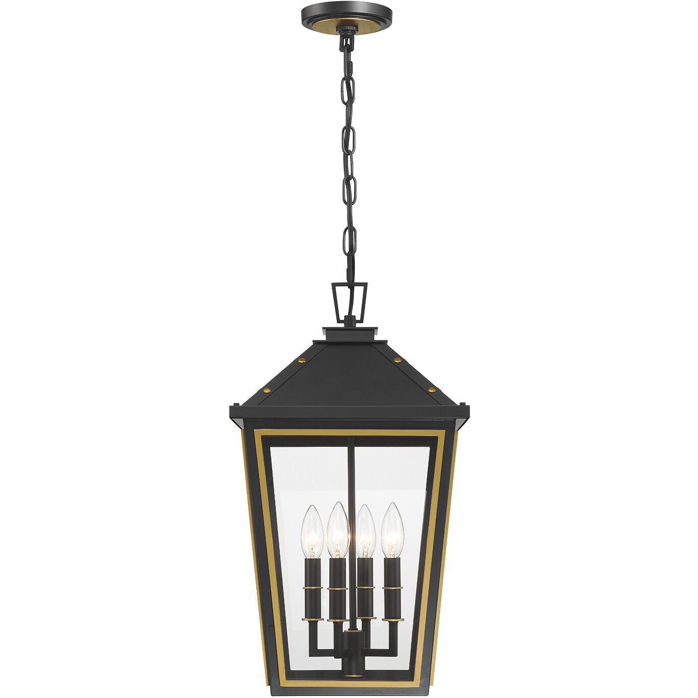 Hawkins 4 Light 12 inch Matte Black and Textured Gold Outdoor Pendant