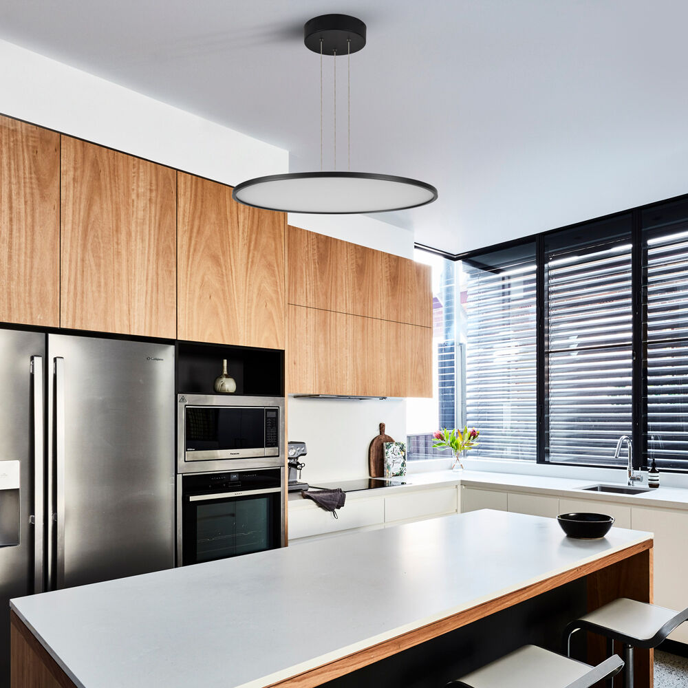 Salm 24 inch Black Pendant/Chandelier Ceiling Light