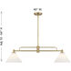 Transitional 2 Light 10 inch Natural Brass Chandelier Ceiling Light