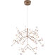 Canada LED 29.5 inch Matte Copper Chandelier Ceiling Light
