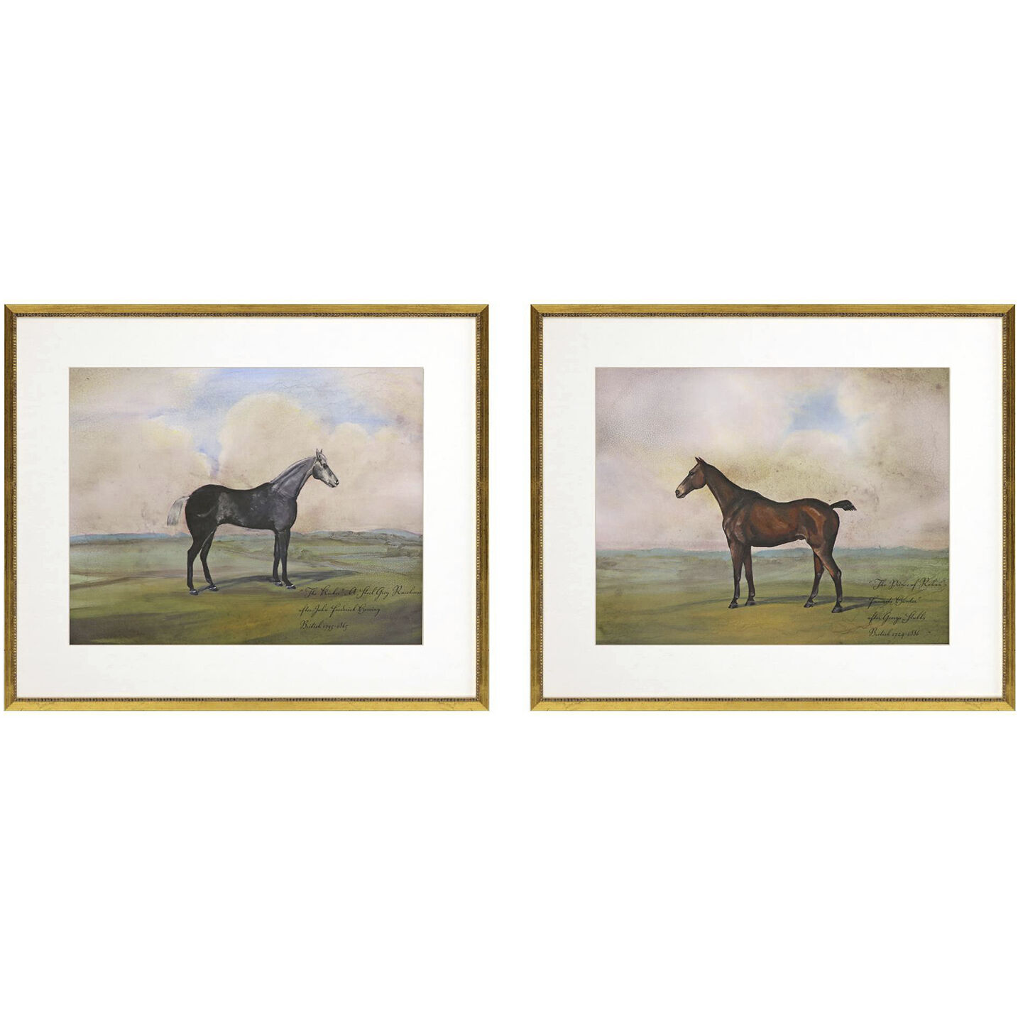 Equestrian Multi and Beige and Brown and Green Framed Art