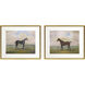 Equestrian Multi and Beige and Brown and Green Framed Art