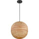 Pharr 1 Light 12 inch Matte Black Pendant Ceiling Light