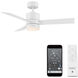 San Francisco 44.00 inch Indoor Ceiling Fan