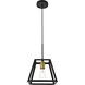 Resolute 1 Light 9 inch Brass and Black Pendant Ceiling Light