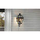 Rue De Royal 1 Light 20.5 inch Earth Black Outdoor Wall Lantern, Medium