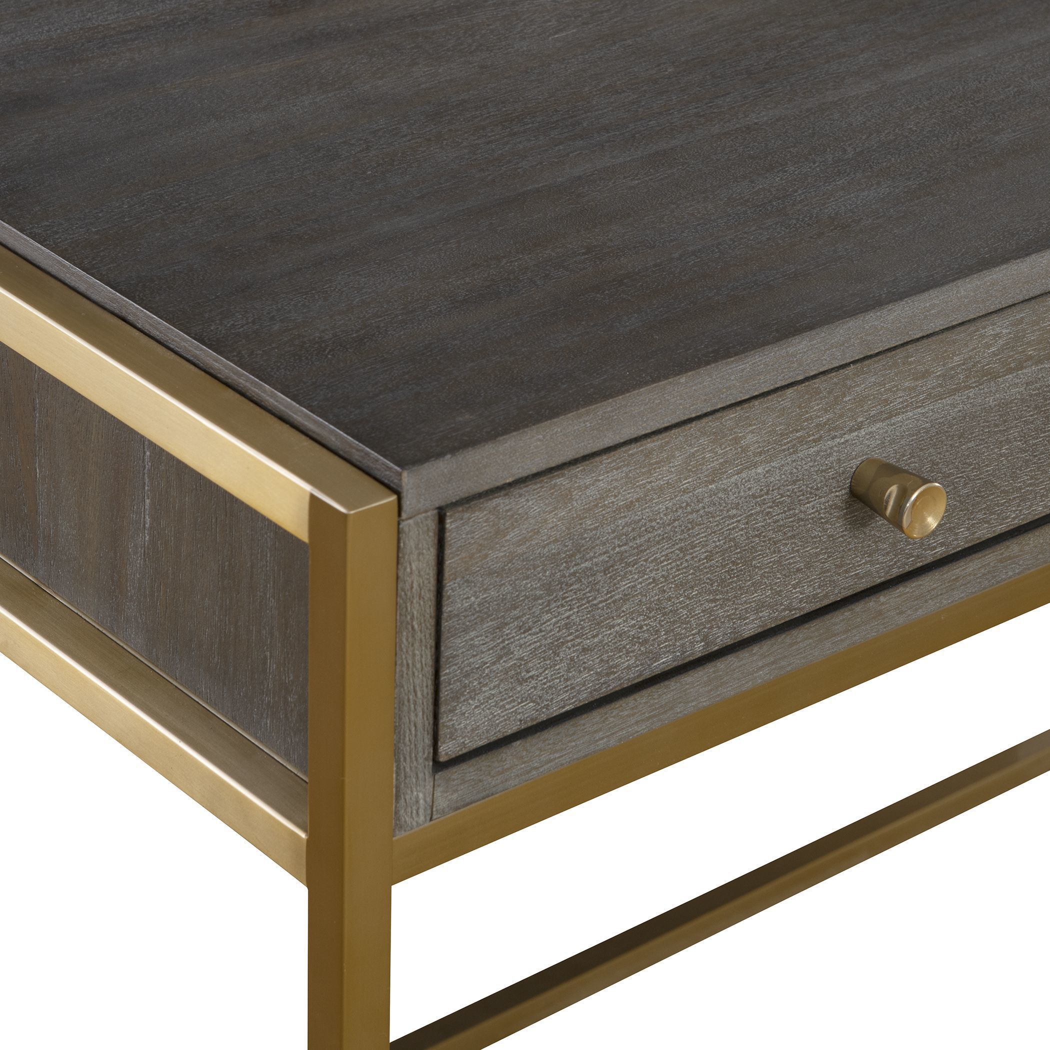 Taja 48 inch Brushed Brass and Dark Walnut Writing Desk
