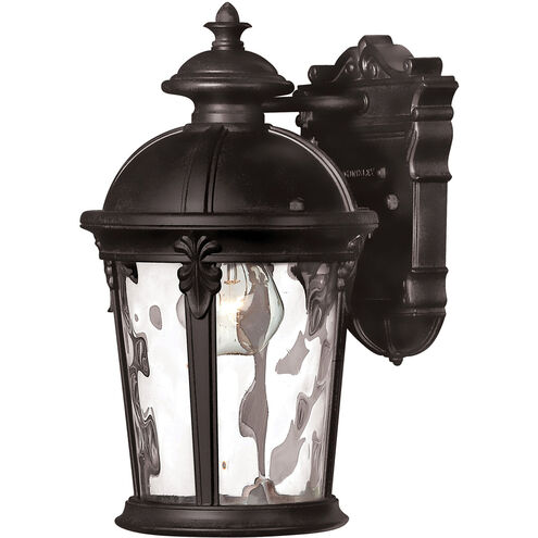 Windsor Outdoor Wall Mount, Clear Water Glass