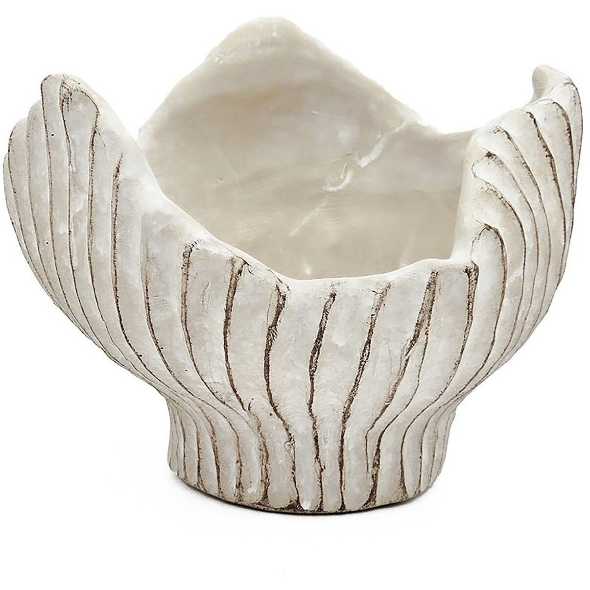 Clam Shell Beige Planter