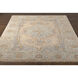 Nirvana 96 X 30 inch Dusty Coral Rug in 2.5 x 8, Runner