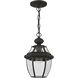 Monterey 1 Light 9 inch Black Outdoor Pendant Lantern 
