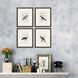 Animals Collection Multi Framed Art