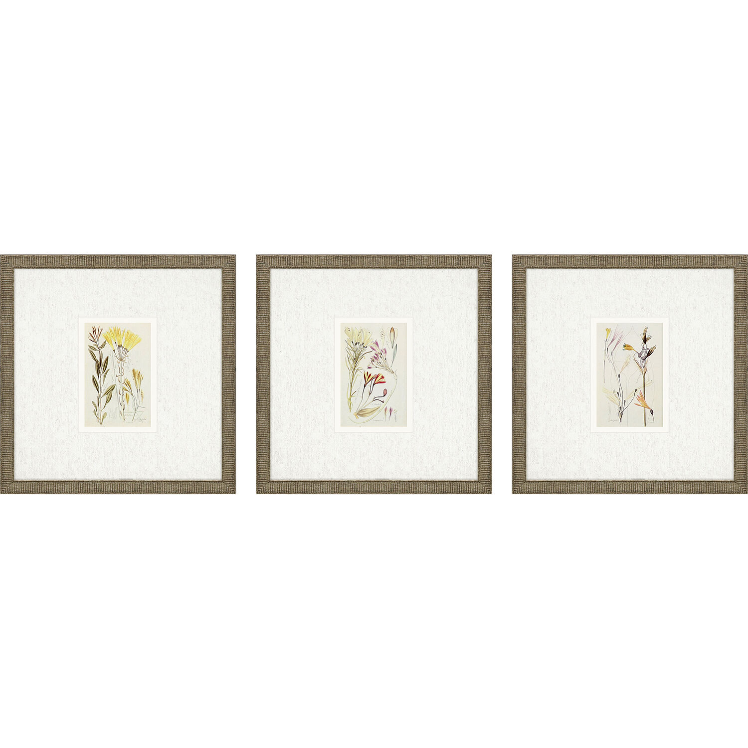 Antique Botanical Green and Beige and Multi and Neutral Framed Art