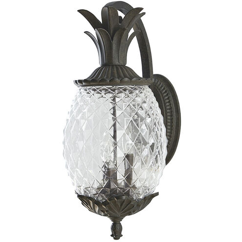 Lanai 3 Light 22 inch Black Coral Exterior Wall Mount