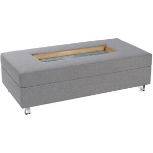 Austin Allen James 49.6 X 25.2 inch Gray and Clear Coffee Table
