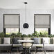 Kuppola 9.25 inch Black with Brushed Nickel Accents Pendant Ceiling Light, Globe