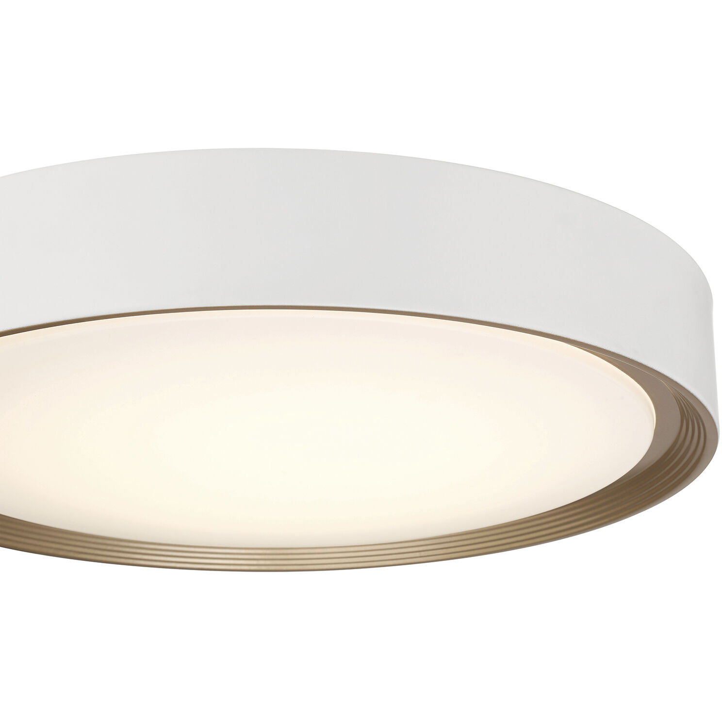 Malaga LED 23.75 inch Matte White and White Flush Mount Ceiling Light