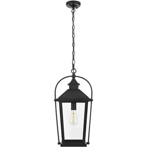 Luz 1 Light 9 inch Black Outdoor Pendant