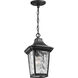 Marquette 1 Light 9 inch Textured Black Outdoor Hanging Lantern, with DURASHIELD