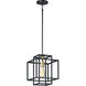 Liner 1 Light 10 inch Black/Satin Brass Single Pendant Ceiling Light