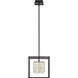 Dazzle LED 12 inch Matte Black Pendant Ceiling Light