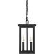 Venango 2 Light 7 inch Black Outdoor Pendant