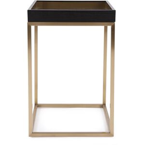 Vassio 27.5 X 18 inch Black/Gold Side Table