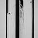 Avian 4 Light 10 inch Black Pendant Ceiling Light