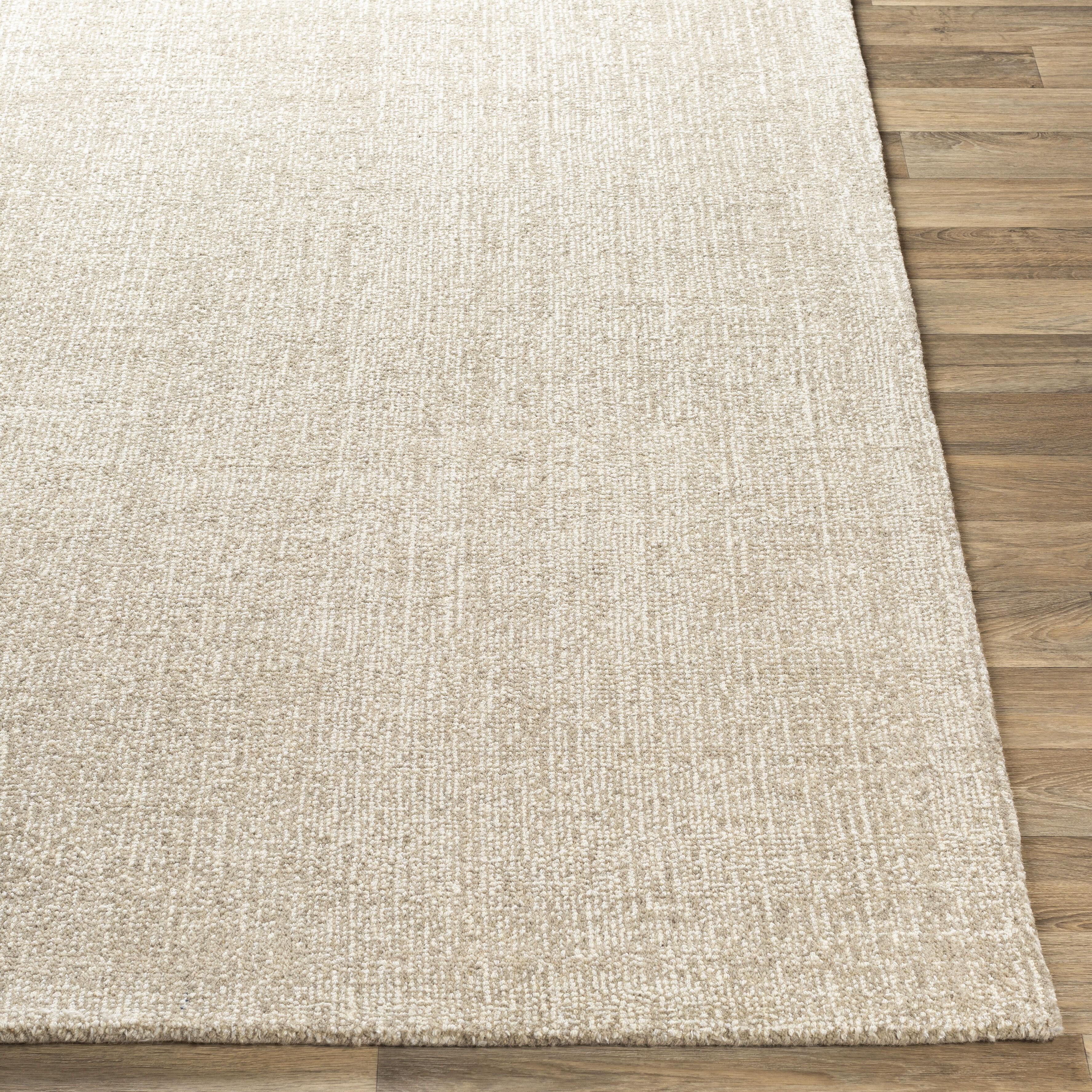 Messina 90 X 60 inch Light Gray Rug in 5 x 8, Rectangle