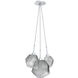 Gem LED 13.5 inch Classic Silver Chandelier Ceiling Light in Smoke, 2700K LED, Cluster